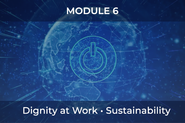 M6-Dignity at Work, Sustainability